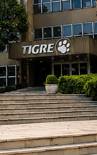 Tigre